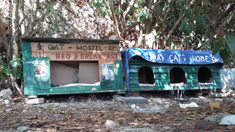 Slowenien - Katzenhostel in der Nähe des Hotel Bernadin in Portoroz 