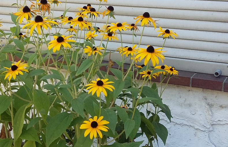 Schöne Locations in Moabit