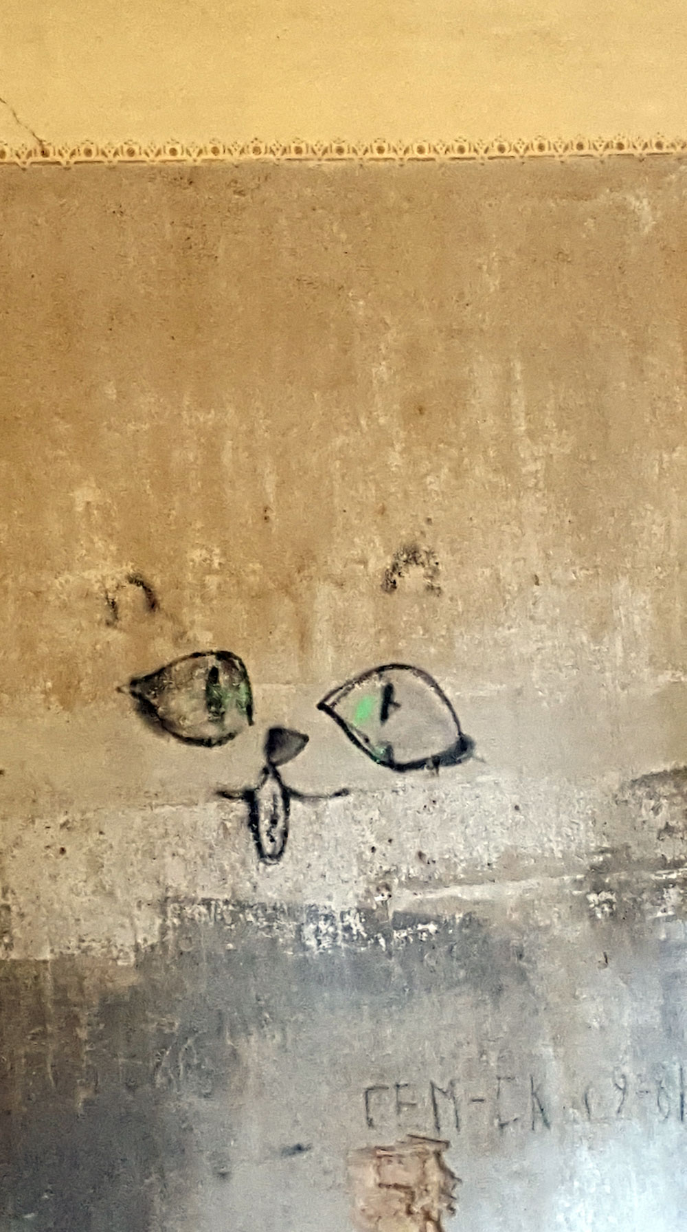 Graffiti Katzengesicht an einer Zimmerwand