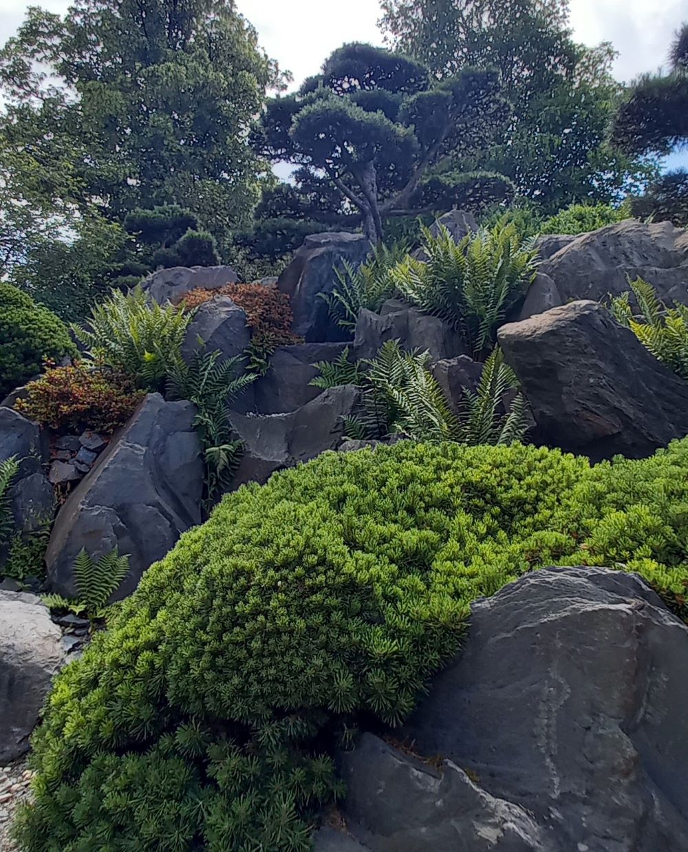 Felsen im japanischen Garten im egapark
