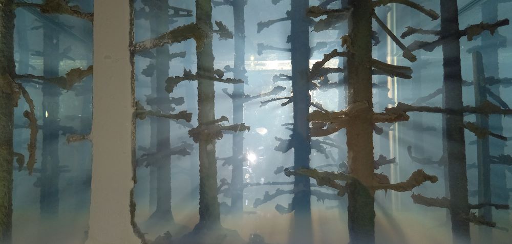 Der Wald als mystischer Sehnsuchtsort - Installation der deutschen Künstlerin Mariele Neudecker 
