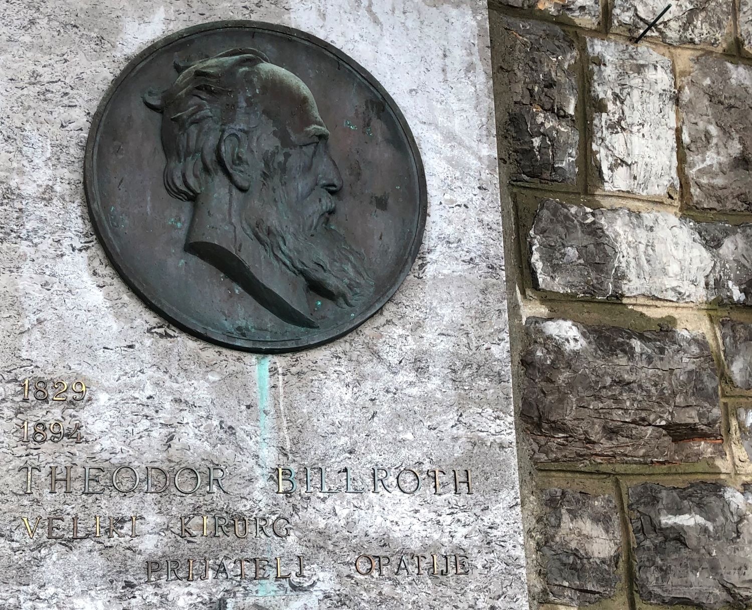 Denkmal des 1894 verstorbenen Chirurgen Theodor Billroth