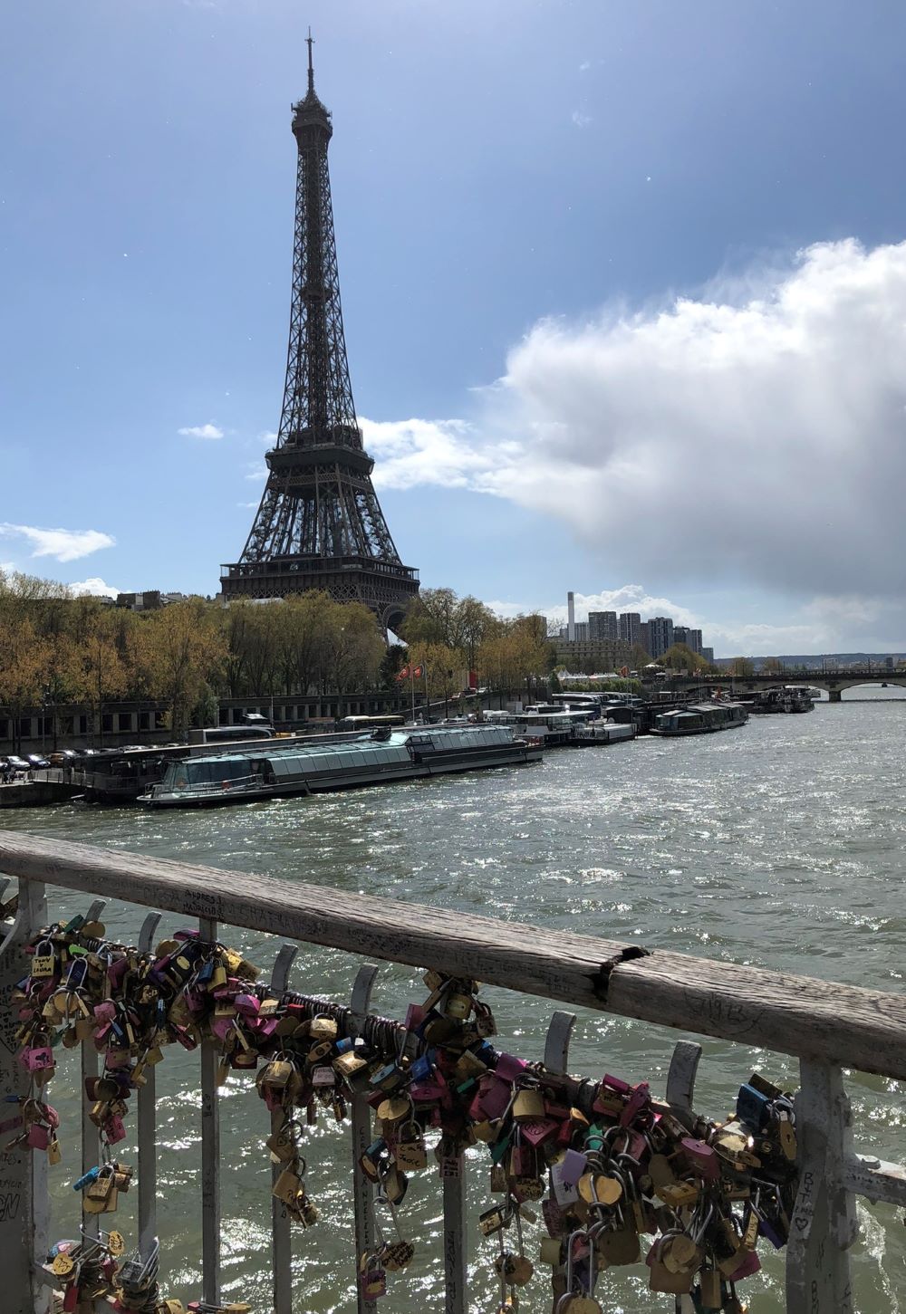 Liebesschlösser an der Pont-Alma mit Blick auf den Eiffelturm