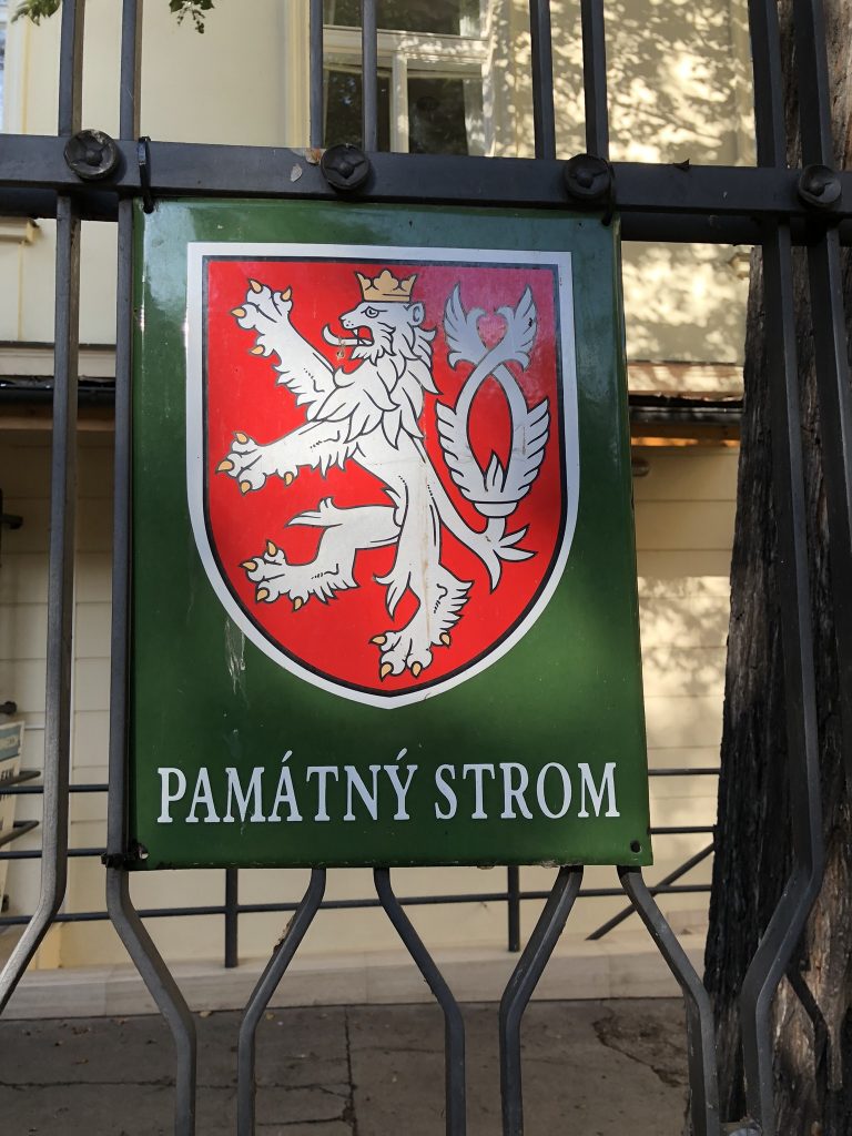 Schild mit dem böhmischen Löwen und der Aufschrift PAMÁTNÝ STROM (dt. Unvergesslicher Baum) 